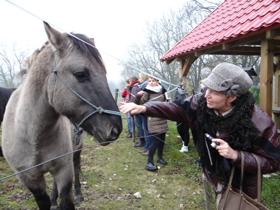 DSC07756 zmieniony